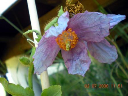 gallery_3363_2588_134277.jpg