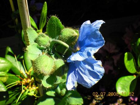 gallery_3363_2588_183234.jpg