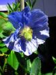 tn_gallery_3363_2588_47501.jpg