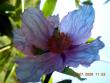 tn_gallery_3363_2588_84769.jpg