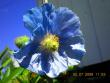 tn_gallery_3363_2588_96823.jpg
