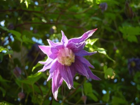 gallery_6203_365_109862.jpg