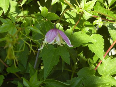 gallery_6203_365_182972.jpg