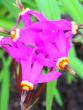tn_gallery_4269_2525_373.jpg