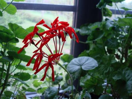gallery_108_2592_14963.jpg