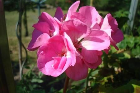gallery_108_2592_18429.jpg