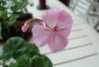 tn_gallery_108_2592_2398.jpg