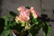 tn_gallery_108_2592_6198.jpg