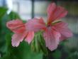 tn_gallery_9679_2480_29399.jpg
