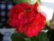 tn_gallery_9679_2489_9502.jpg