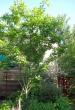 tn_gallery_14_54_166444.jpg