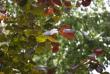 tn_gallery_4038_1901_8468.jpg