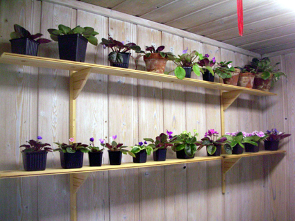 gallery_2821_2099_11845.jpg