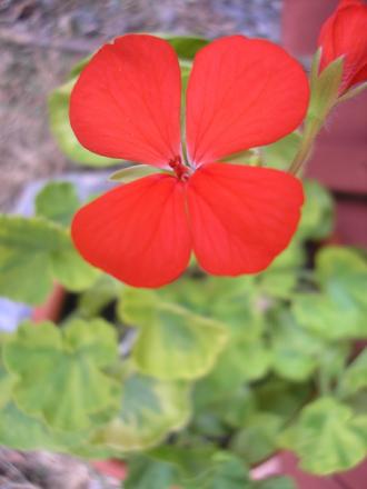 gallery_5783_2425_65665.jpg