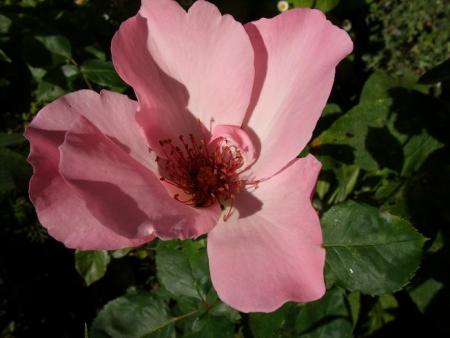 gallery_5307_2392_42518.jpg