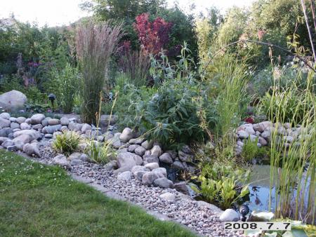 gallery_5956_1121_102160.jpg