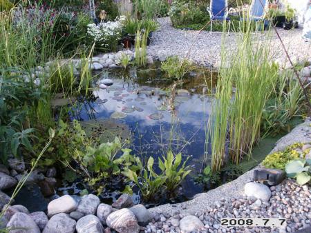 gallery_5956_1121_53505.jpg