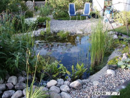 gallery_5956_1121_66651.jpg