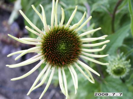 gallery_5956_1861_13178.jpg