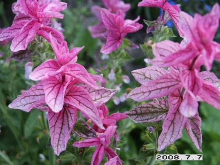 gallery_5956_1861_85048.jpg