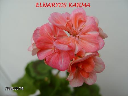 gallery_5074_2156_102502.jpg