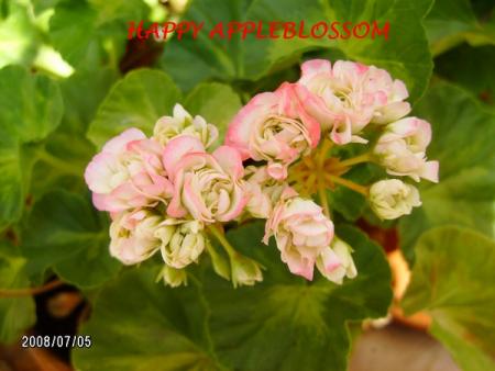 gallery_5074_2159_133098.jpg