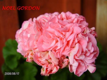 gallery_5074_2165_157795.jpg