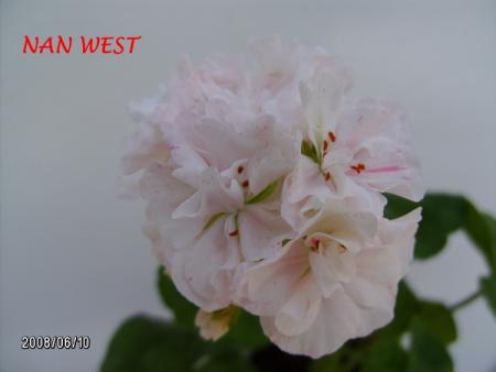 gallery_5074_2165_83966.jpg