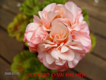 gallery_5074_2166_68160.jpg