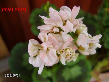 gallery_5074_2167_109369.jpg