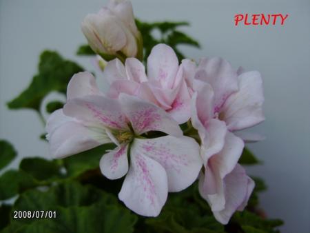 gallery_5074_2167_124646.jpg
