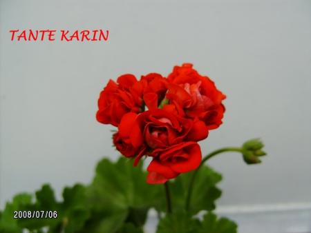 gallery_5074_2171_37690.jpg