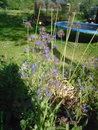 gallery_8540_2611_306550.jpg