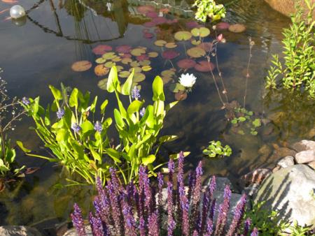 gallery_11521_2434_123124.jpg