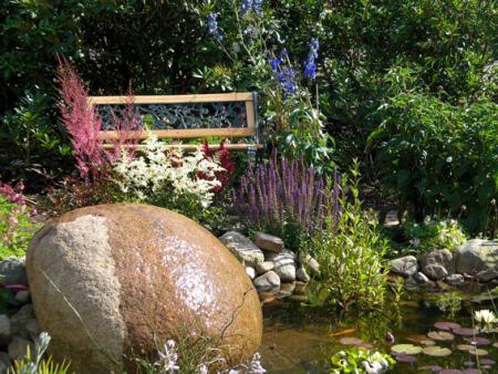 gallery_11521_2434_131445.jpg