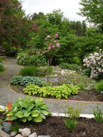 gallery_72_2614_43450.jpg