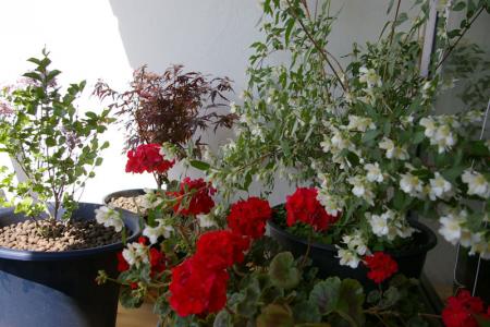gallery_6231_66_106793.jpg