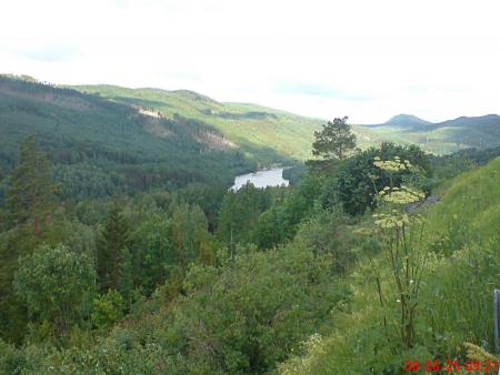 gallery_13447_1715_212001.jpg