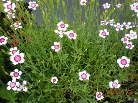 gallery_3363_677_201463.jpg