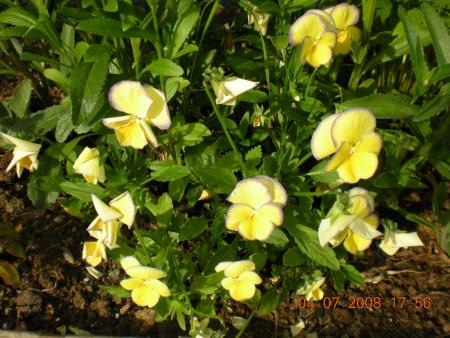 gallery_3363_677_238064.jpg