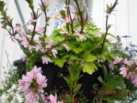 gallery_3363_677_69072.jpg