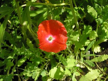 gallery_5006_1492_1789.jpg