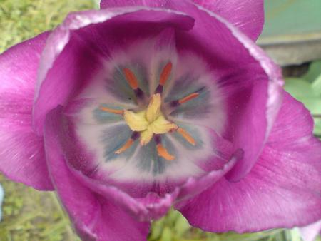 gallery_14149_2373_123109.jpg