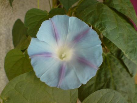 gallery_14149_2626_107488.jpg