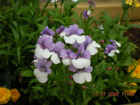 gallery_3363_677_27043.jpg