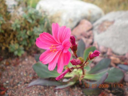 gallery_3363_677_99041.jpg