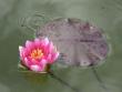 tn_gallery_7111_20_17873.jpg