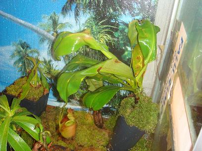 gallery_12008_984_296.jpg
