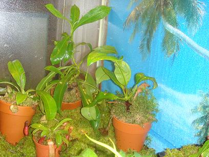 gallery_12008_984_872.jpg