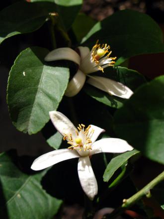 gallery_10947_664_32529.jpg